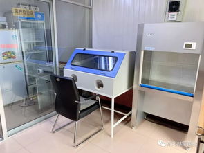 全國黑木耳科技培訓通知（第710期）