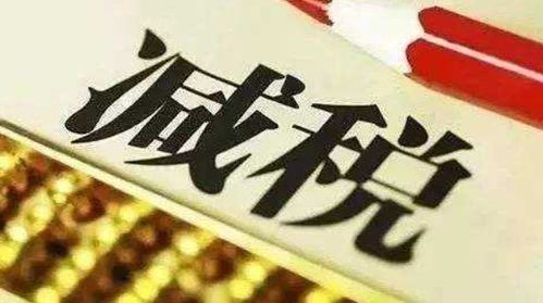 個(gè)人稅務(wù)籌劃專(zhuān)項(xiàng)審計(jì)案例分析